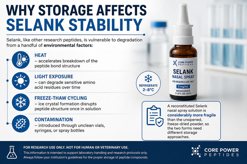Why Storage Affects Selank Stability
Selank, like other research peptides, is vulnerable to degradation from a handful of environmental factors:
●	Heat — accelerates breakdown of the peptide bond structure
●	Light exposure — can degrade sensitive amino acid residues over time
●	Freeze-thaw cycling — ice crystal formation disrupts peptide structure once in solution
●	Contamination — introduced through unclean vials, syringes, or spray bottles
A reconstituted Selank nasal spray solution is considerably more fragile than the unopened, freeze-dried powder, so the two forms need different storage approaches.
